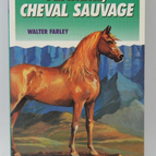 Wild Horse Flame - Walter Farley - Green Library - book