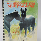 Zur Rettung der zwei Fohlen - Lucy Daniels - 1999 - Buch