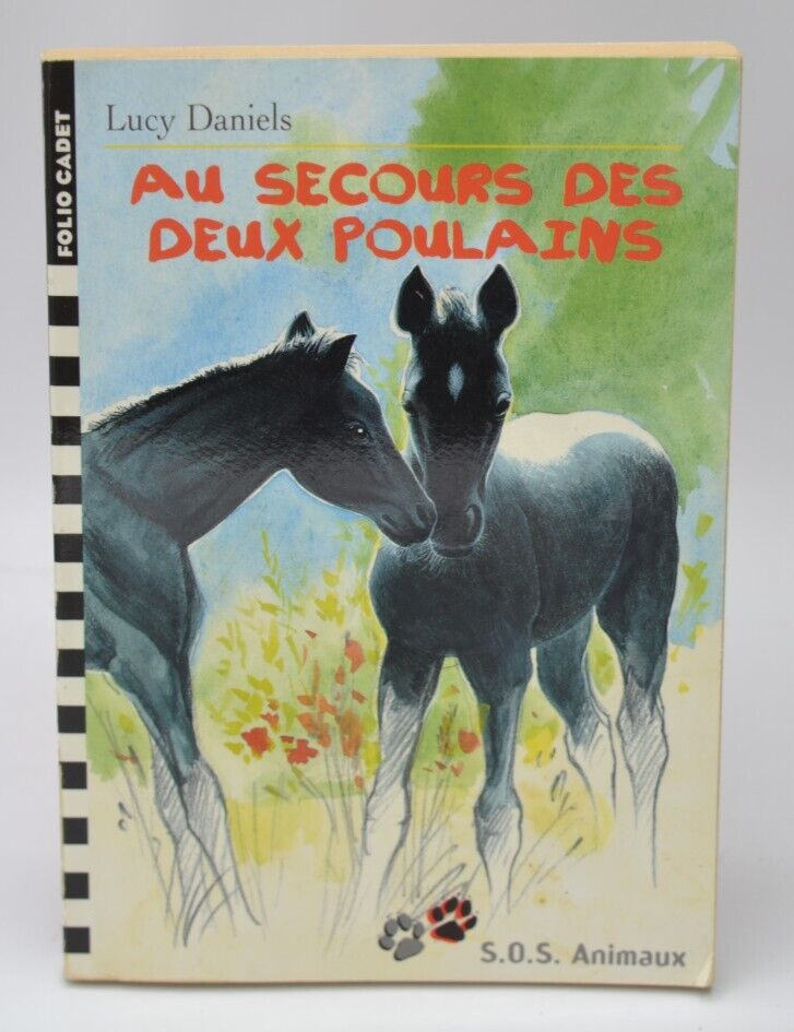 To the Rescue of the Two Foals - Lucy Daniels - 1999 - book