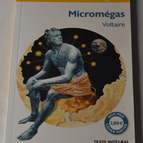 Micromégas - Voltaire - Buch