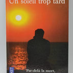 A Sun Too Late - Anne Ray-Wendling - 2002 - Buch