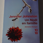Ein Familienweihnachten - Jennifer Johnston - Buch