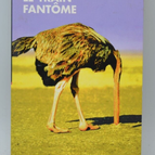 Der Geisterzug - Stéphane Guibourgé - Buch